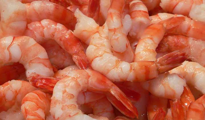Iran shrimp exports forecast to increase 50%