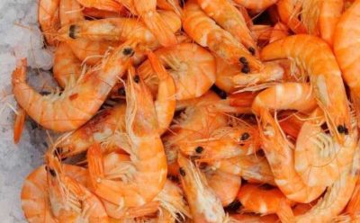 Asian shrimp production fell short of earlier forecast