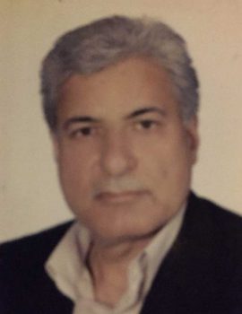 حسن احمدی جزنی
