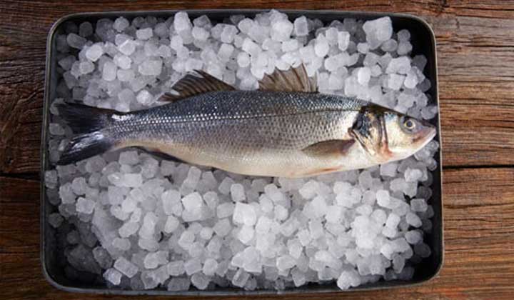 اطلاع رسانی در خصوص ابلاغ دستورالعمل “انجمادزدایی کنترل شده ماهی و میگو”