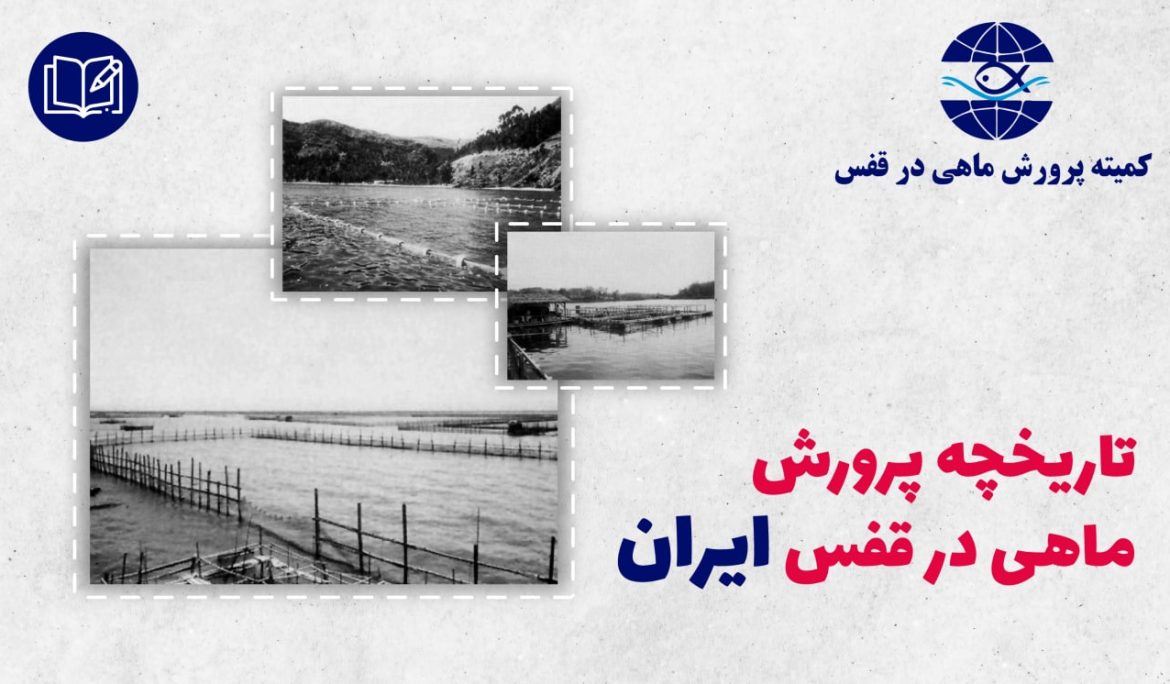 تاریخچه پرورش ماهی در قفس ایران – مقالات علمی کمیته پرورش ماهی در قفس