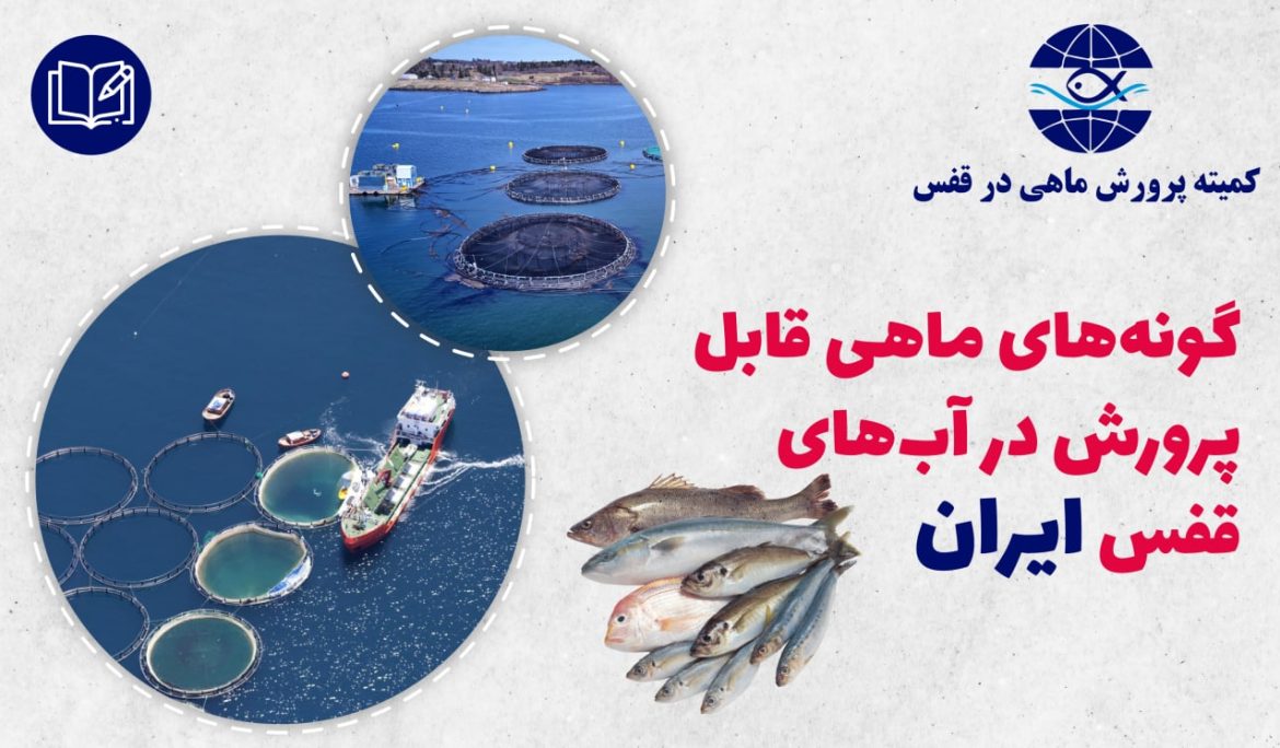 گونه‌های ماهی قابل پرورش در قفس آب‌های ایران – مقالات علمی کمیته پرورش ماهی در قفس