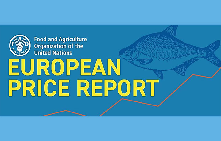 گزارش بازار آبزیان اروپا در مارس ۲۰۲۳ / آخرین اخبار بازار اروپا ؛ مقدار و قیمت‌های فروش ماهی مرکب، سالمون، میگو، قزل‌آلا،گربه ماهی، سی‌بس و سی‌بریم در اروپا