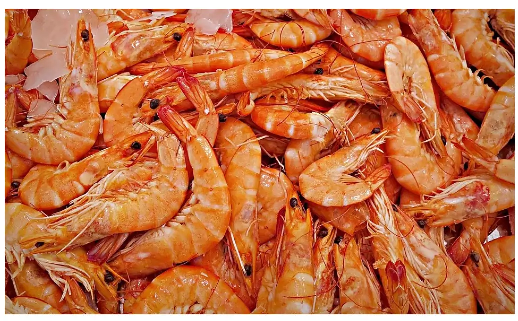 مدیر اتحادیه تولیدکنندگان و صادرکنندگان آبزیان ویتنام(VASSEP): سالی سخت در صادرات میگو پیش روی ماست