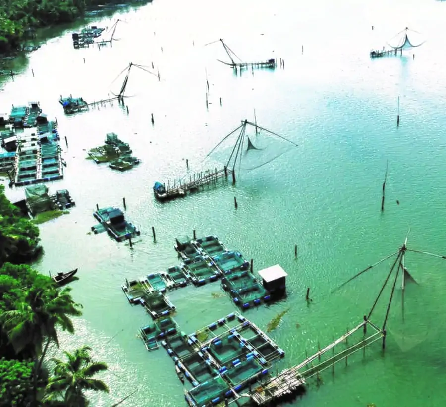 هندوستان: توجه به نقش صنعت پرورش ماهی درقفس در توسعه مناطق ساحلی