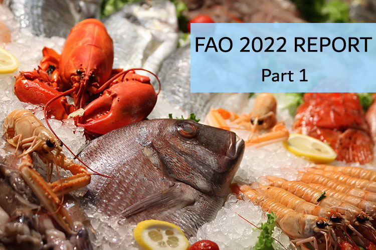 آمارهای صید و آبزی پروری جهان بر اساس گزارش فائو 2022 (بخش 1)