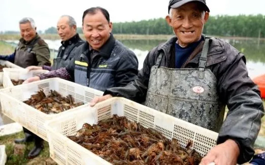 شرکت آبزی پروری گولیان  چین اولین مزرعه پرورش خرچنگ دارای گواهینامه ASC در جهان