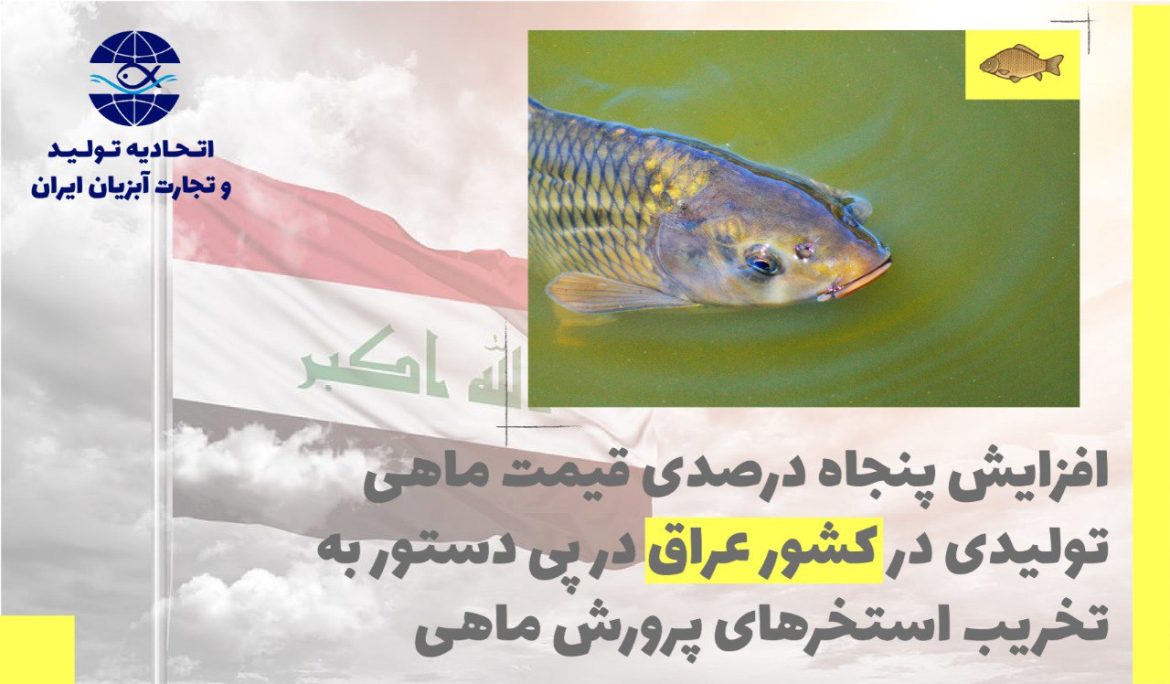 افزایش پنجاه درصدی قیمت ماهی در کشور عراق در پی دستور به تخریب استخرهای پرورش ماهی در این کشور