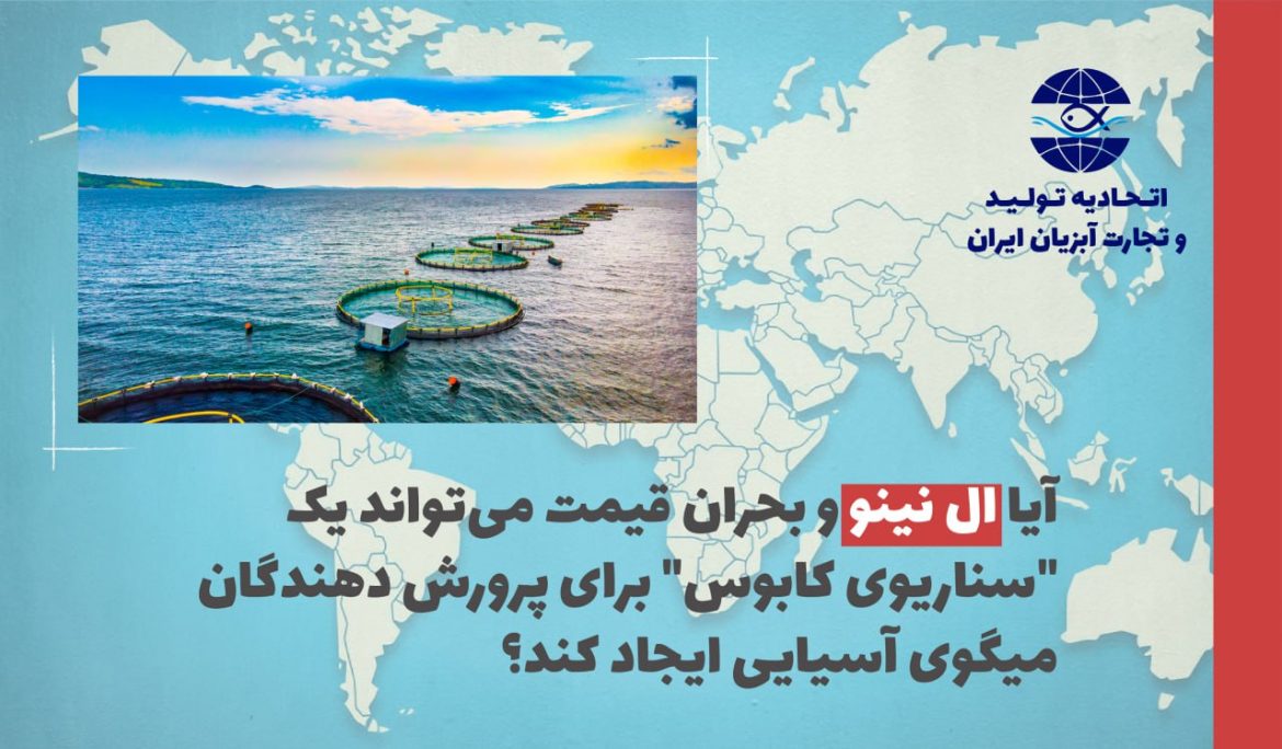 آیا ال نینو  و بحران قیمت می‌تواند یک “سناریوی کابوس” برای پرورش دهندگان میگوی آسیایی ایجاد کند؟