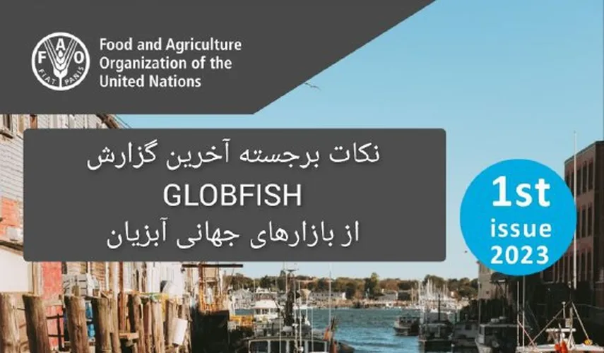 نکات برجسته آخرین گزارش GLOBFISH از بازارهای جهانی آبزیان شماره نخست سال 2023 آمارهای ژانویه تا سپتامبر 2022 – FAO