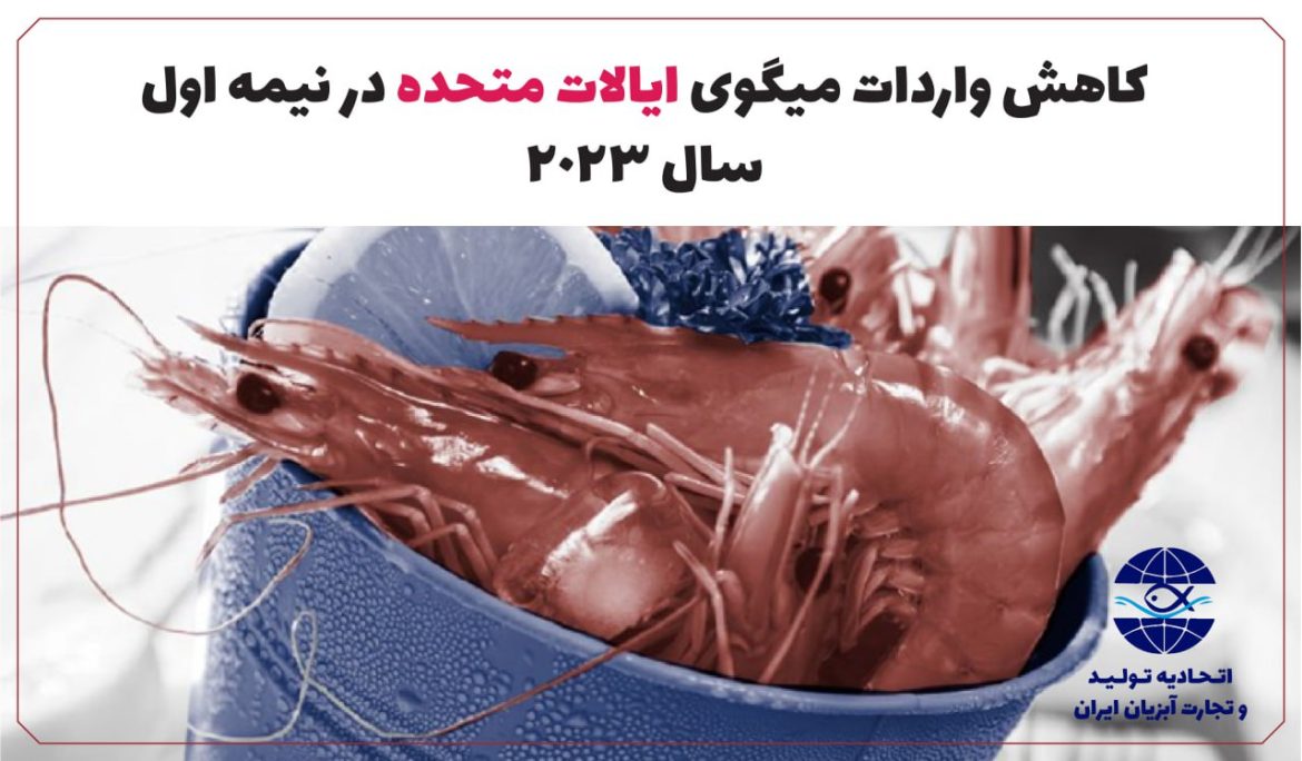 کاهش واردات میگوی ایالات متحده در نیمه اول سال 2023