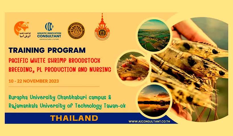 برگزاری دوره تکمیلی آموزشی تکثیر میگو در تایلند