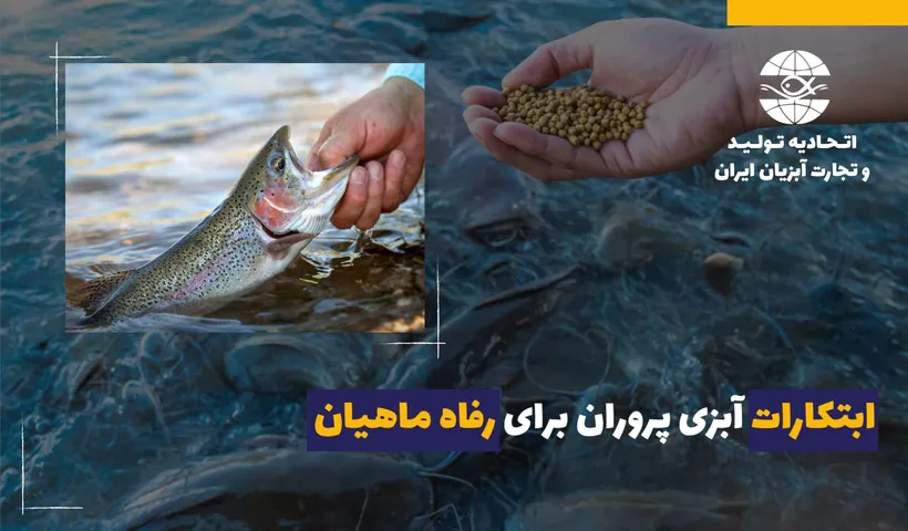 ابتکارات آبزی پروران برای رفاه ماهیان