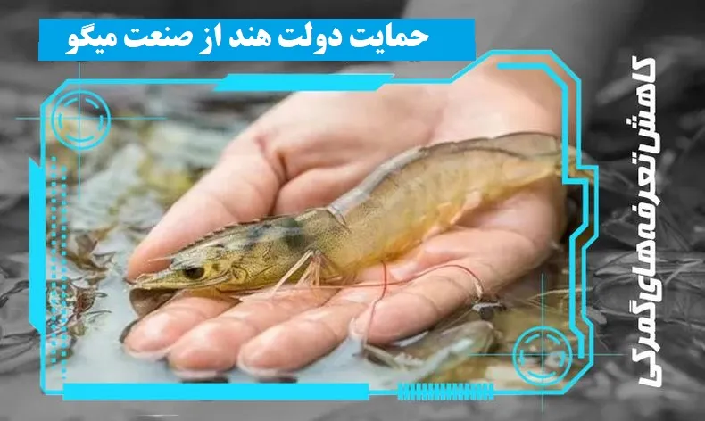 دولت هند برای حمایت از صنعت میگوی خود تعرفه های گمرکی واردات خوراک میگو و واردات مولد را کاهش می دهد