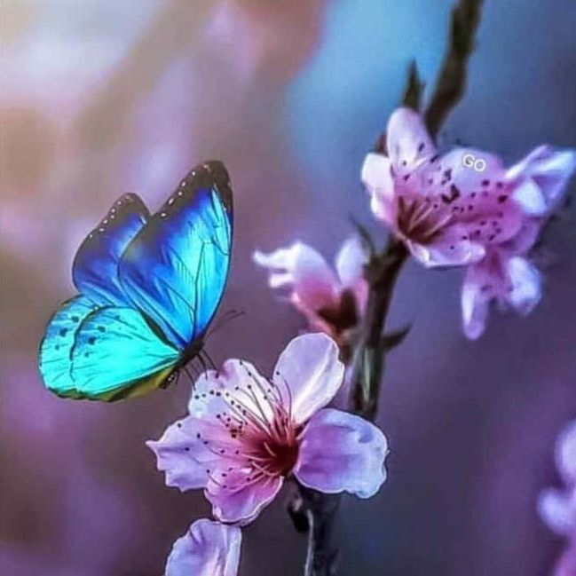 عکس پروفایل