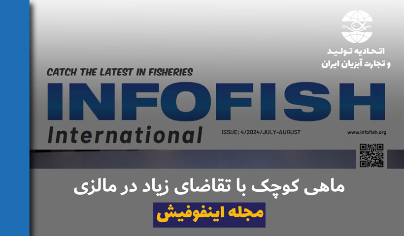 سلسله ترجمه های جدید مجله اینفوفیش آگوست 2024 مقاله چهارم – IKAN BILIS ماهی کوچک با تقاضای زیاد در مالزی