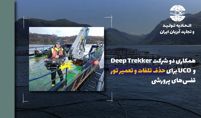 همکاری دو شرکت Deep Trekker و UCO برای حذف تلفات و تعمیر تور قفس‌های پرورشی