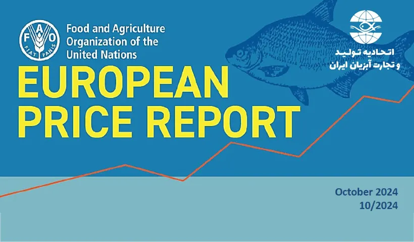 آخرین گزارش PRICE REPORT EUROPEAN از بازار آبزیان اروپا در اکتبر 2024