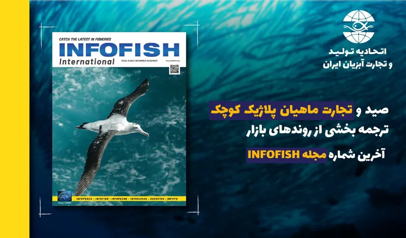 صید و تجارت ماهیان پلاژیک کوچک ترجمه بخشی از روندهای بازار (Market Trends) آخرین شماره مجله  INFOFISH International 6/2024