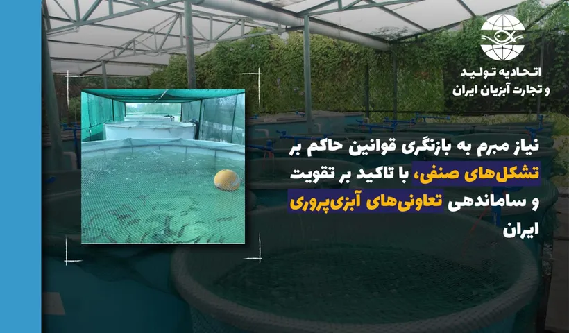 نیاز مبرم به بازنگری قوانین حاکم بر تشکل‌‌های صنفی، با تاکید بر تقویت و ساماندهی تعاونی‌‌های آبزی‌پروری ایران