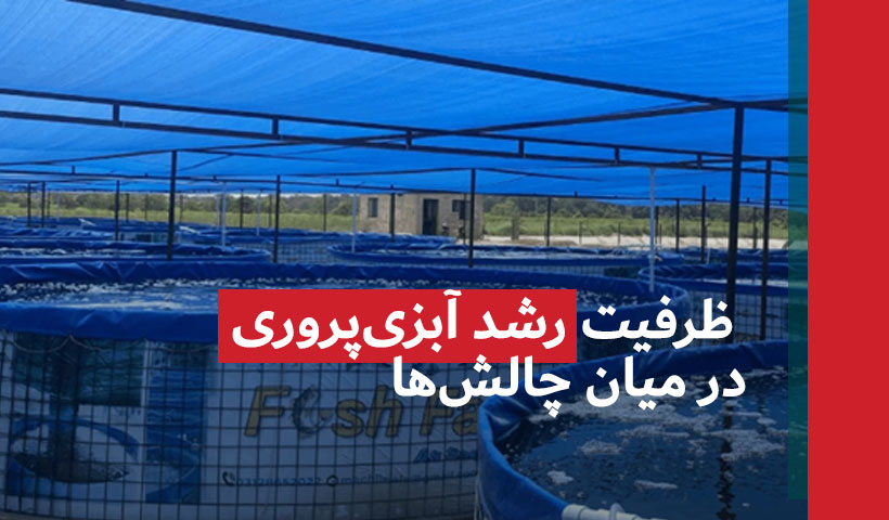 درس‌هایی از آسیا در زمینه ظرفیت رشد آبزی‌پروری در میان چالش‌های منابع و تغییرات اقلیمی
