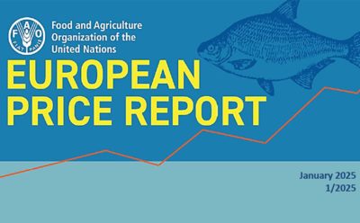 قیمت ها در بازار آبزیان اروپا بر اساس گزارش European Price Report  ژانویه ۲۰۲۵