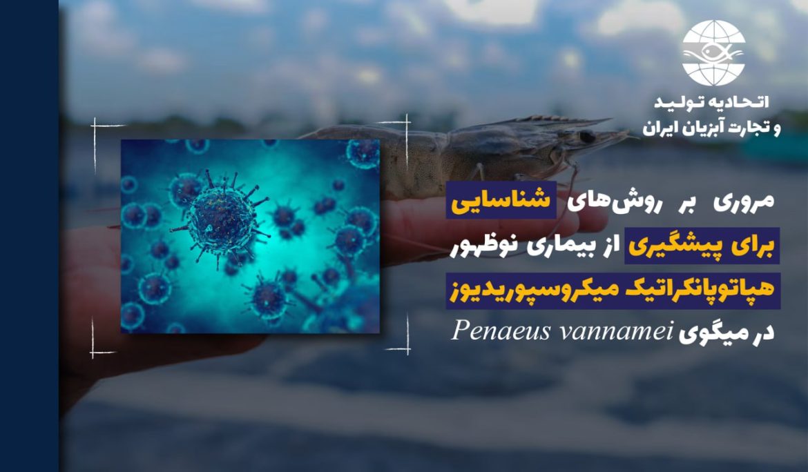 تهدید پنهان بیماری EHPدر پرورش میگو