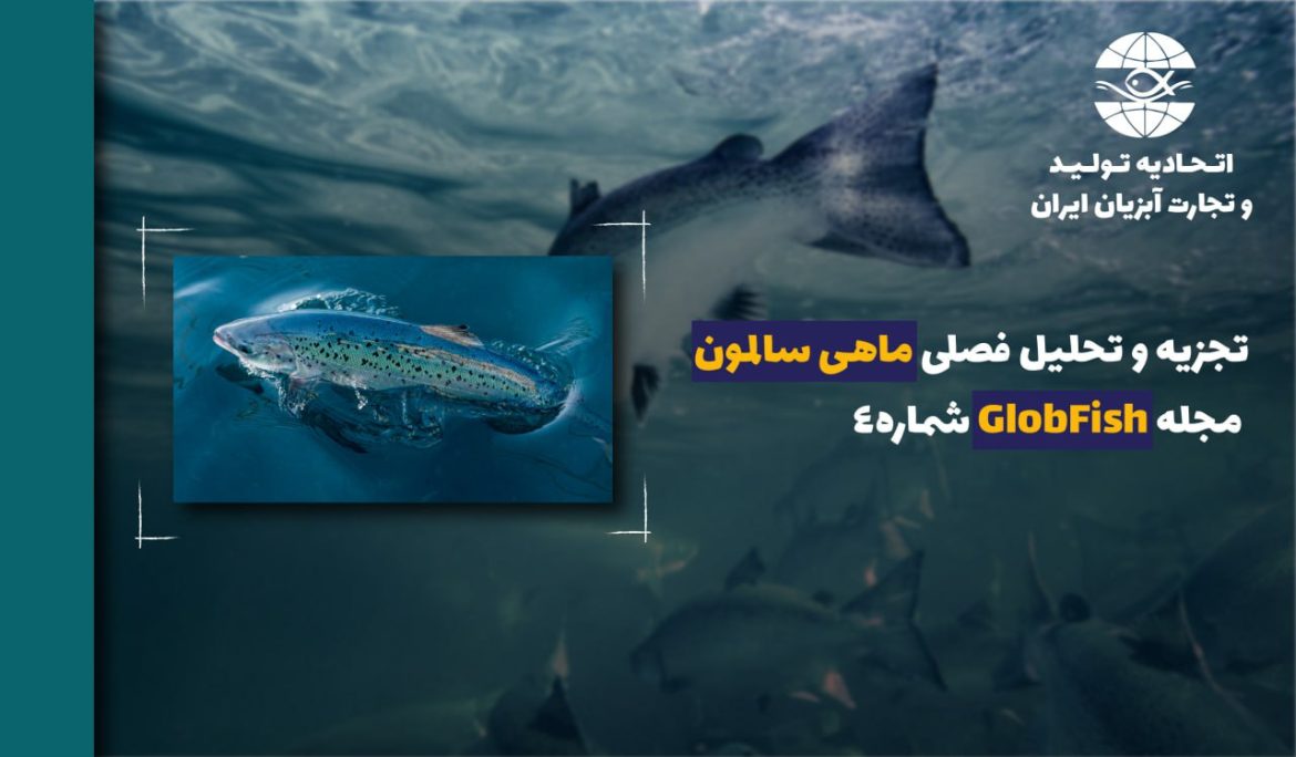 تجزیه و تحلیل فصلی ماهی  ماهی سالمون مجله GlobFish – شماره4 January-June 2024