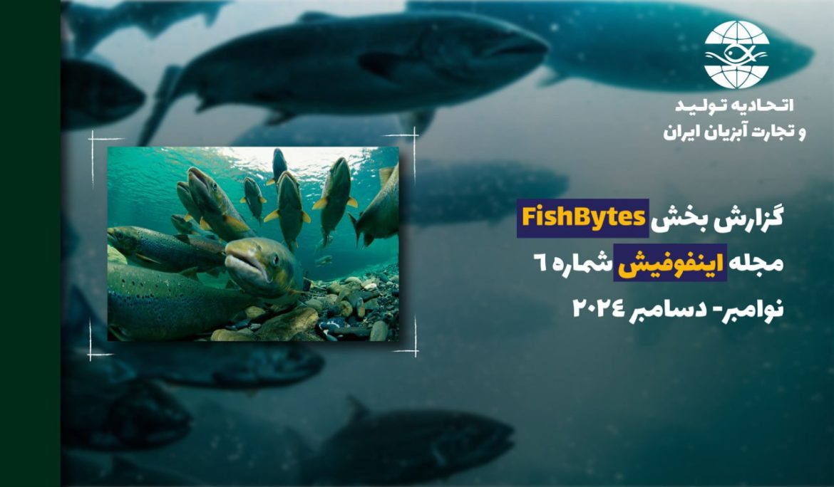 گزارش بخش FishBytes  مجله اینفوفیش شماره 6  نوامبر- دسامبر 2024