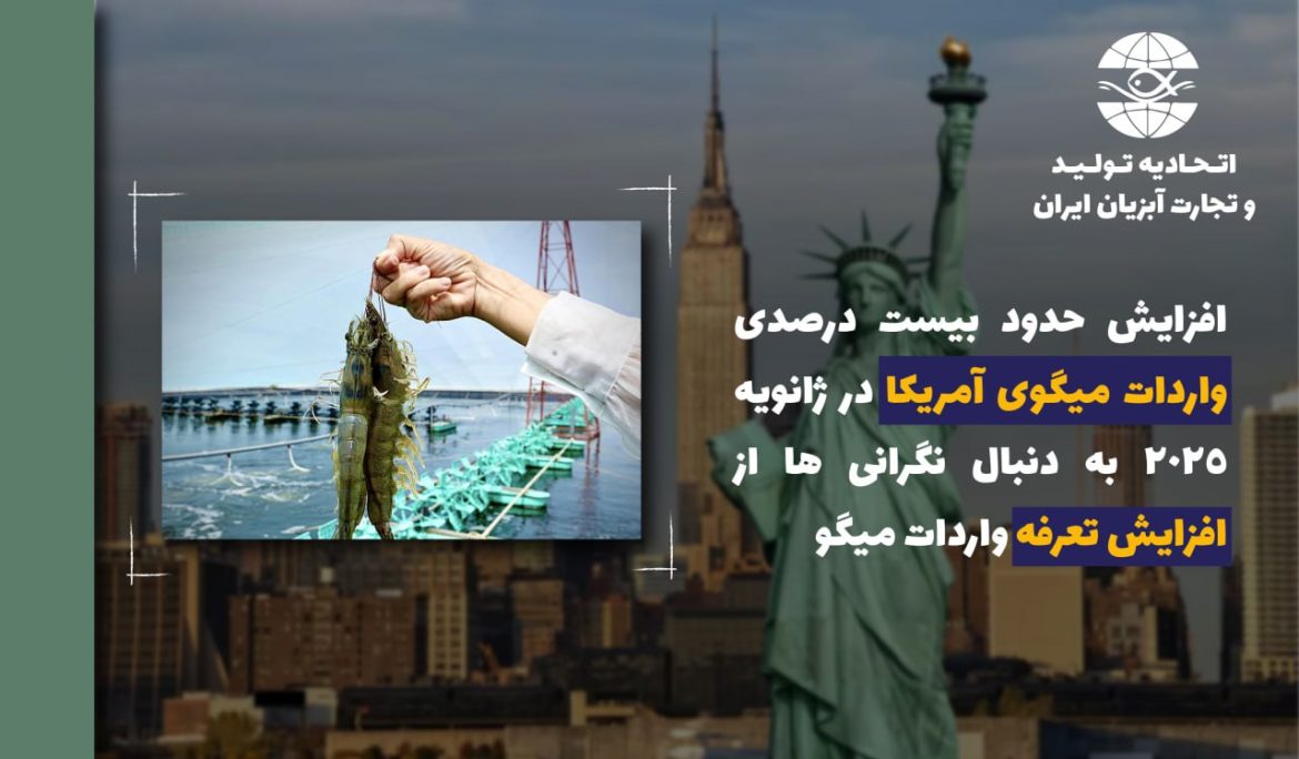 افزایش حدود بیست درصدی واردات میگوی آمریکا در ژانویه 2025 به دنبال نگرانی ها از افزایش تعرفه واردات میگو