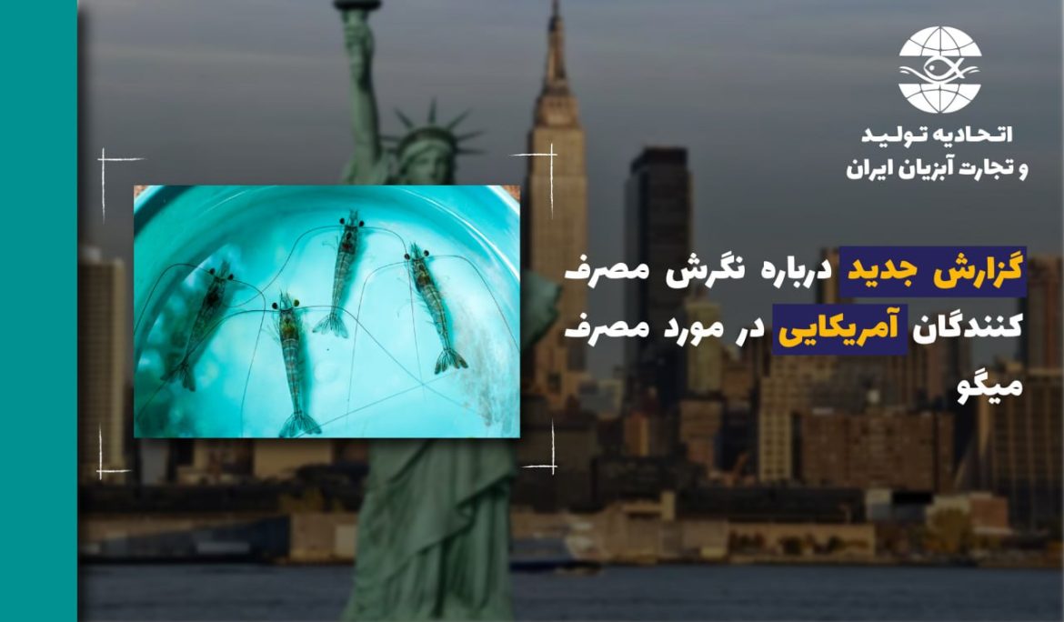 گزارش جدید درباره نگرش‌ مصرف‌کنندگان آمریکایی در مورد مصرف میگو