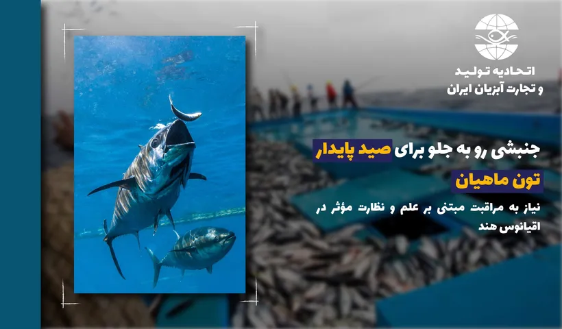 جنبشی رو به جلو برای صید پایدار تون ماهیان – نیاز به مراقبت مبتنی بر علم و نظارت مؤثر در اقیانوس هند