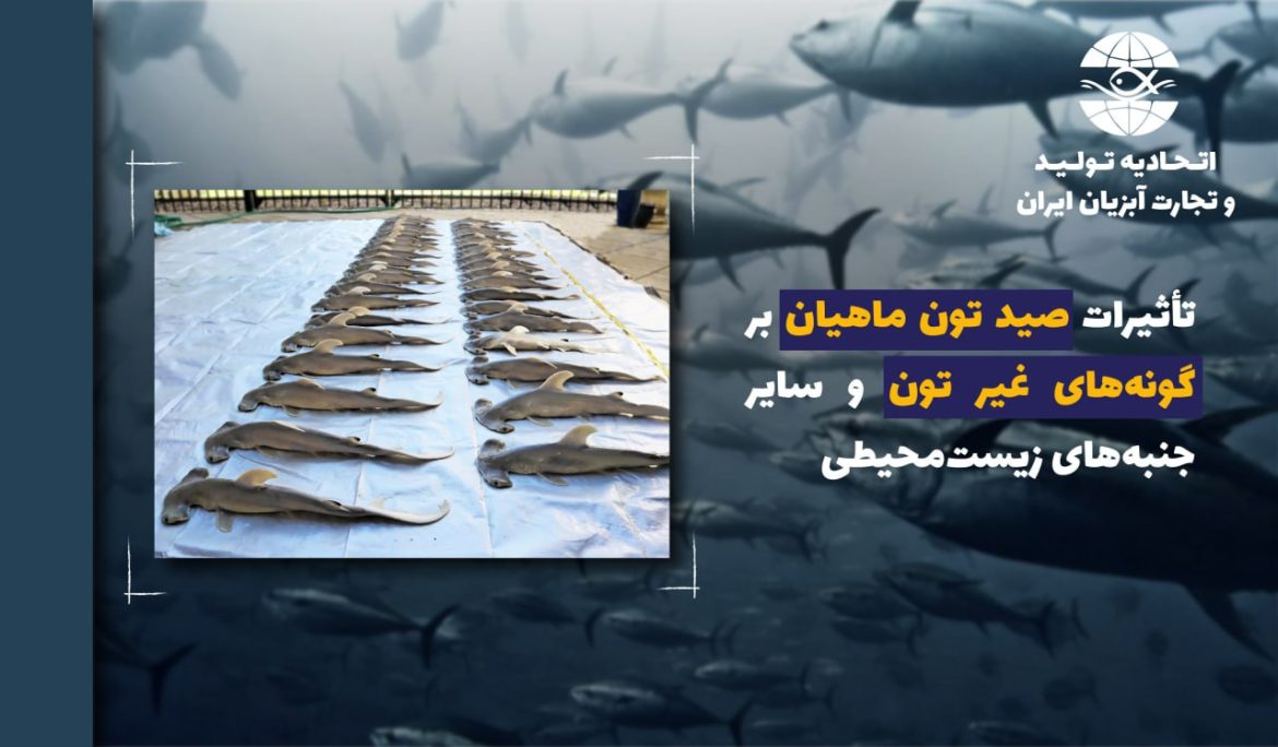 تأثیرات صید تون ماهیان بر گونههای غیر تون و سایر جنبههای زیستمحیطی