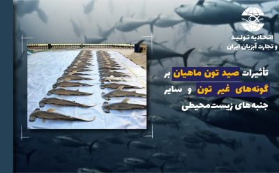 تأثیرات صید تون ماهیان بر گونه‌های غیر تون و سایر جنبه‌های زیست‌محیطی