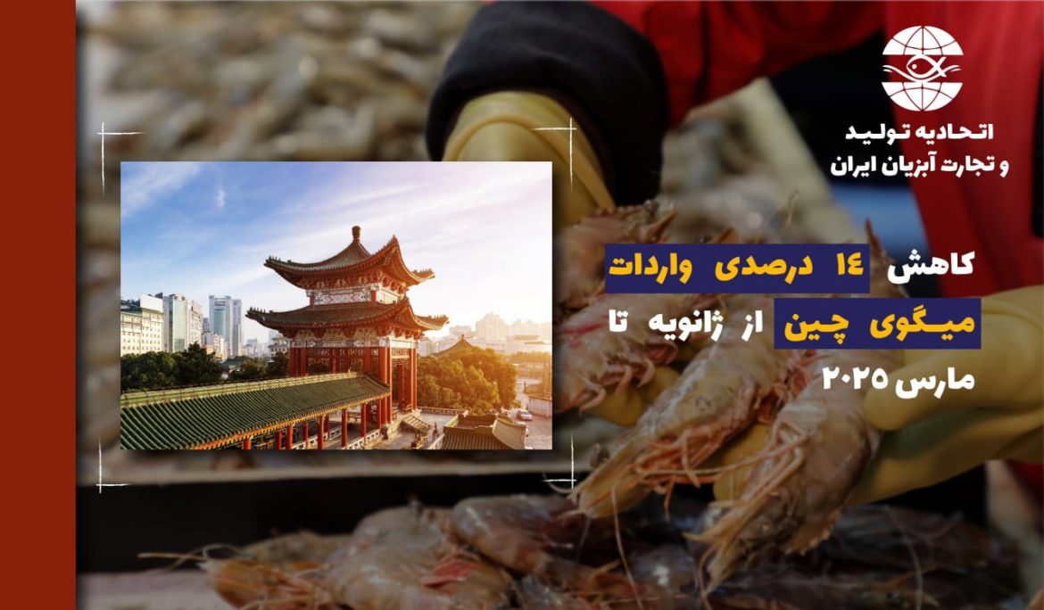 کاهش 14 درصدی واردات میگوی چین از ژانویه تا مارس 2025