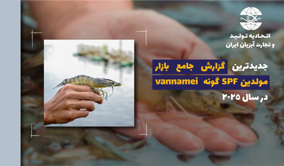 جدیدترین گزارش جامع بازار مولدین SPF گونه  L. vannamei  در سال 2025