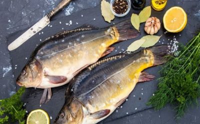 بررسی چگونگی مصرف ماهی کپور در بین کشورهای قاره اروپا