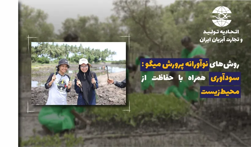 روش‌های نوآورانه پرورش میگو : سودآوری همراه با حفاظت از محیط‌زیست