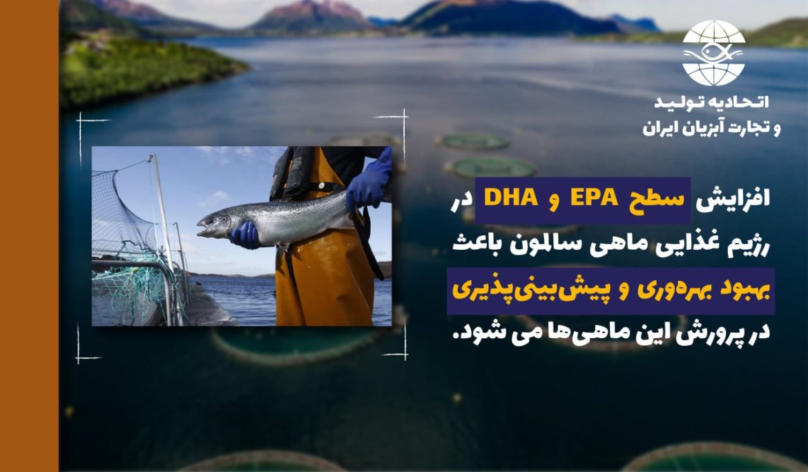 نقش افزایش میزان EPA و DHA در جیره غذایی ماهی سالمون در بهبود بهره‌وری و قابلیت پیش بینی تولید در پرورش این ماهی