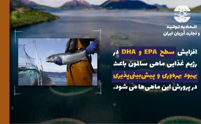 نقش افزایش میزان EPA و DHA در جیره غذایی ماهی سالمون در بهبود بهره‌وری و قابلیت پیش بینی تولید در پرورش این ماهی