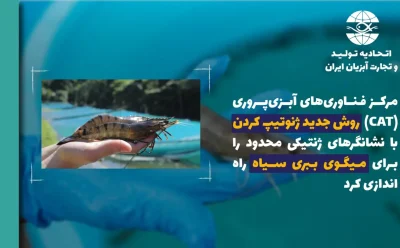 مرکز فناوری‌های آبزی‌پروری (CAT)  روش جدید ژنوتیپ‌ کردن با نشانگرهای ژنتیکی محدود را برای میگوی ببری سیاه راه‌اندازی کرد/  گامی نوین در پیشبرد نوآوری‌های ژنتیکی کاربردی در اصلاح‌ نژاد Penaeus monodon