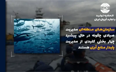 سازمان‌های منطقه‌ای مدیریت صیادی چگونه در حال پیشبرد چهار بخش کلیدی از مدیریت پایدار منابع آبزی هستند