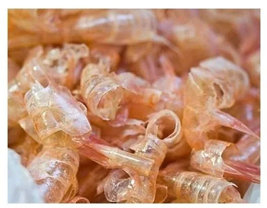 چگونه ضایعات میگو را به یک غذای کاربردی تبدیل کنیم