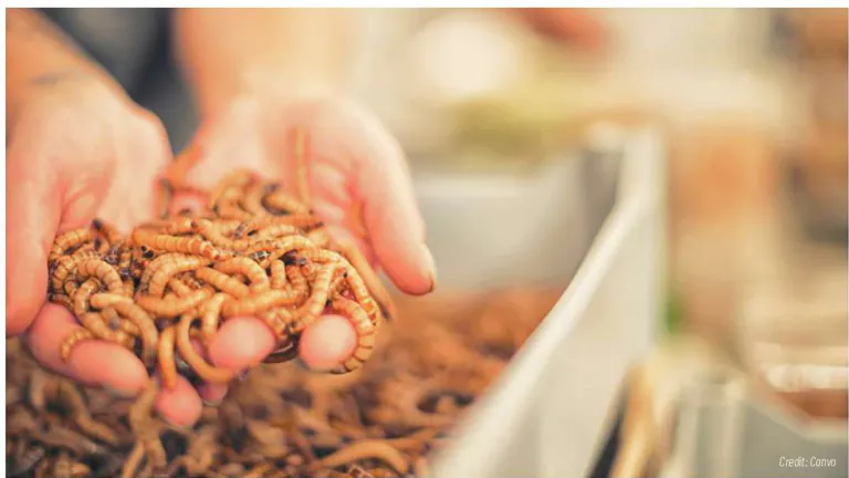 پروتئومیکس در آبزیپروری: باز کردن قفل ماشین مولکولی برای پرورش هوشمندانهتر