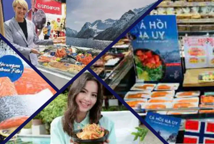 مجله INFOFISH international 4 جولای 2025 – ریشه داری و تضمین رشد غذاهای دریایی نروژی در آسیا از طریق بومی‌سازی و اعتماد