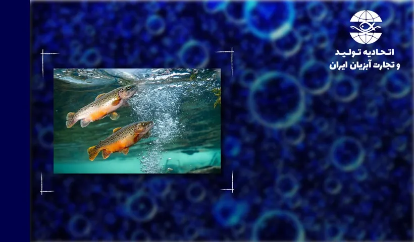 مروری بر نقش نانوحبابها در آبزیپروری