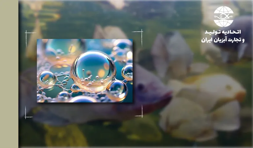 نقش نانوحباب اکسیژن در افزایش و پایداری اکسیژن محلول در آبزیپروری