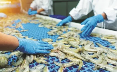 لغو ممنوعیت واردات میگوی هندی با پوست‌ به استرالیا در پی سفر نارا لوکش وزیر صنایع دولت دهند و مذاکره با مقامات استرالیایی