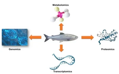 نوتریژنومیکس ماهی: رمزگشایی کد ژنتیکی برای آبزی‌پروری پایدارتر و با ارزش غذایی بیشتر