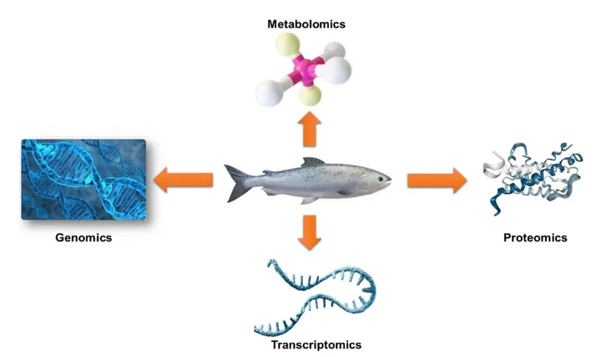 نوتریژنومیکس ماهی: رمزگشایی کد ژنتیکی برای آبزی‌پروری پایدارتر و با ارزش غذایی بیشتر